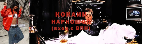 дживик Дмитров