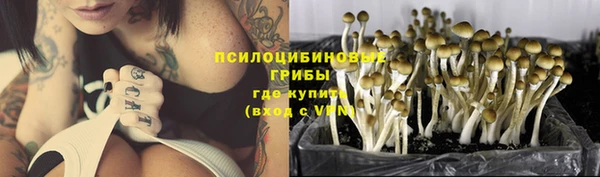дживик Дмитров