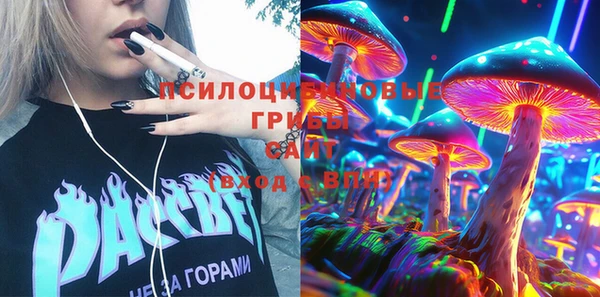 СК Дмитриев