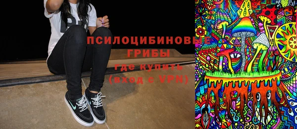 дживик Дмитров